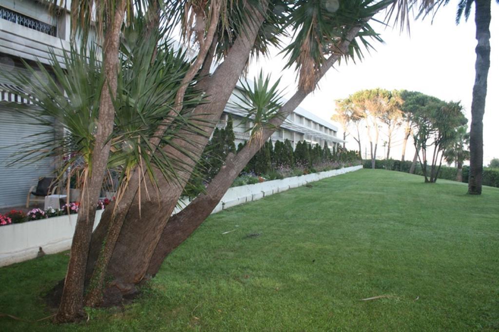 Two-Bedroom Apartment,208808449:JPEG