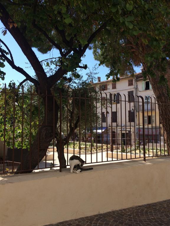 One-Bedroom Apartment,331146883:JPEG