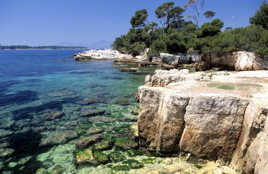 Heavnstay Suite Cannes Centre I-1