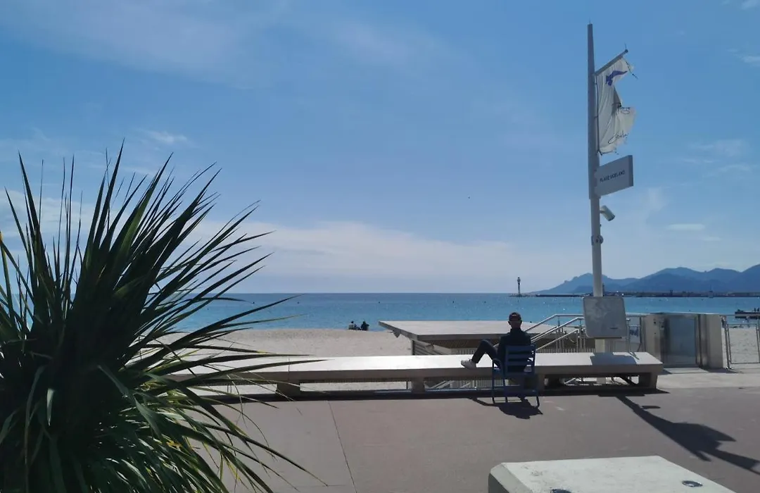 Un Nid D Amour Au Coeur De Cannes-1