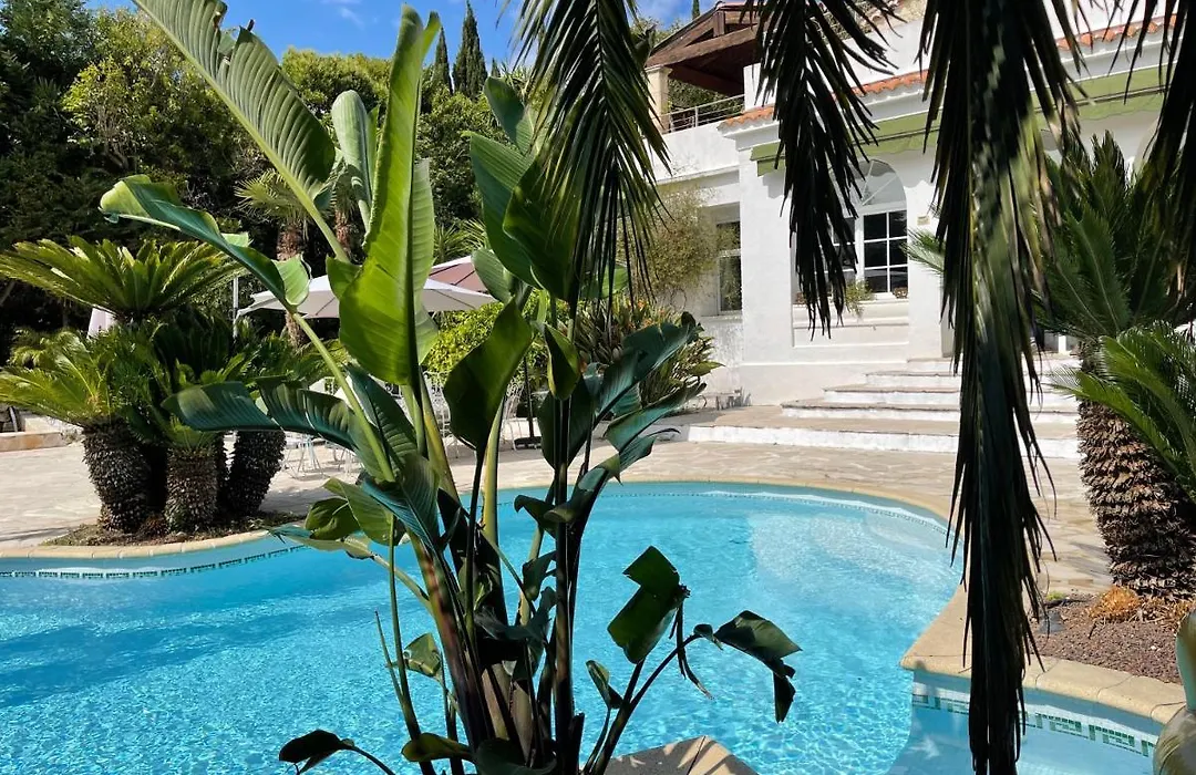 Cannes Villa Piscine Proche Centre Ville-1