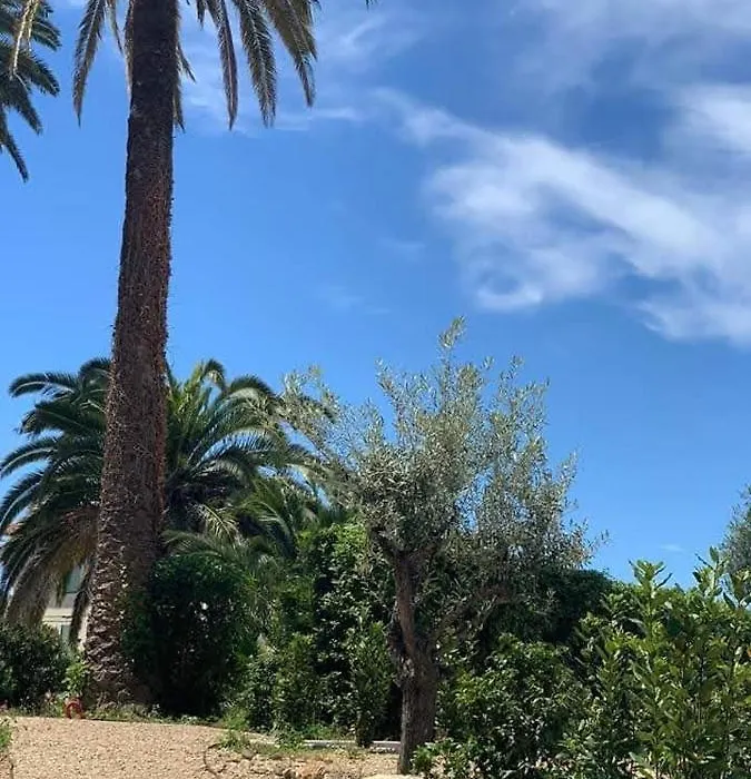 Cannes 2 Pieces De 49 M2 ,Piscine. Jardin Privatif-1