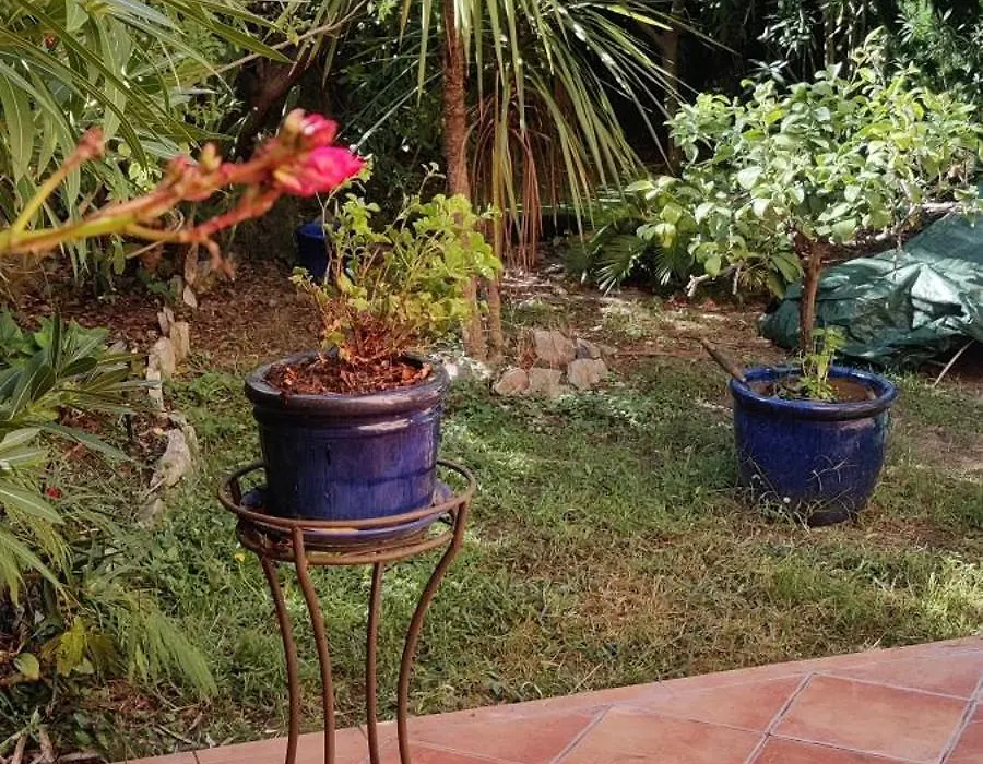 Appartement De Charme Wi-Fi ,Clim, Garage Jardin Prives, Piscine Environnement Arbore-1