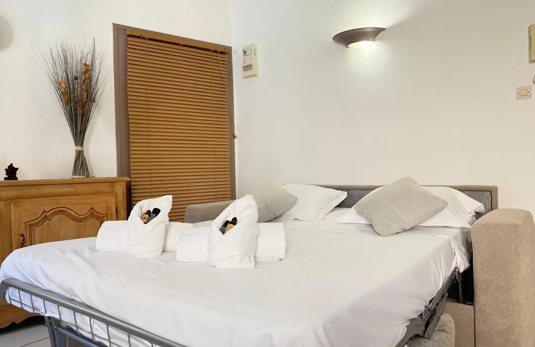 1-Bedroom Apt 5 Minutes From The Congress Center-1