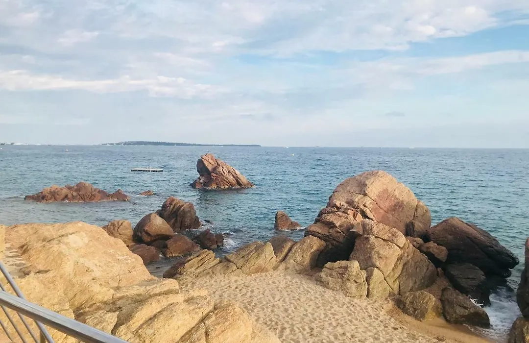 Charmant Studio Vue Mer - Cannes-1