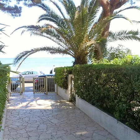 Fettolina Palm Beach, Location Cannes Front De Mer Et Plage-2
