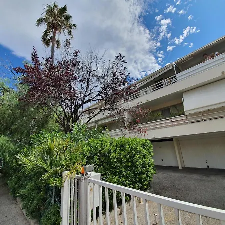 Palm Paradise, By Welcome To Cannes-3