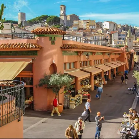 Cute 1 Bedroom Flat - Croisette Area-2