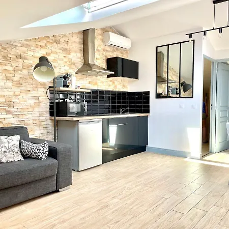 Safari Apartment In Heart Of Cannes And Beaches-2