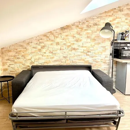 Safari Apartment In Heart Of Cannes And Beaches-3