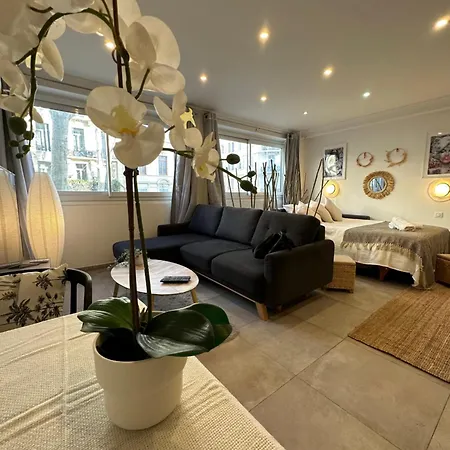 Grand Studio Cosy Cannes Centre-2