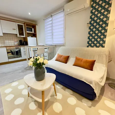 Grand Studio Confortable Au Coeur De Cannes-3
