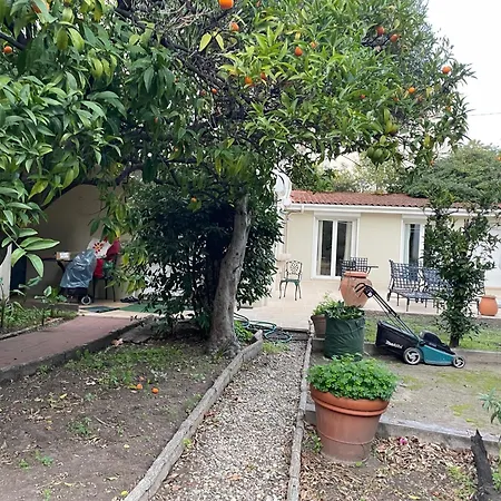 Chez Nicole-3