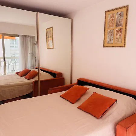 One Bedroom Apartment In The Center Of Cannes, Next To The Carlton, A Few Meters From The Croisette - 367-3
