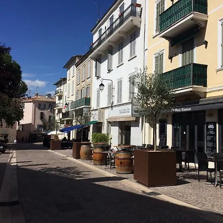 Palme D'Hote-3