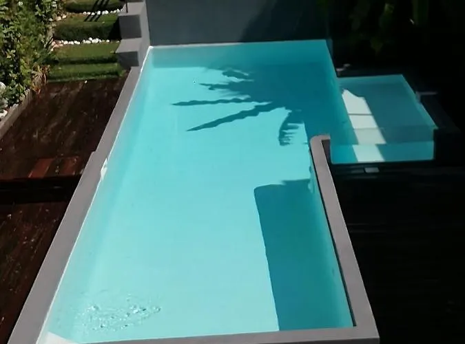 Villa Roi Albert 2 Cannes avec Piscine