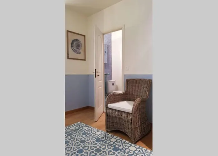 C069-Magnifique appartement au coeur du suquet Cannes acceptant les animaux