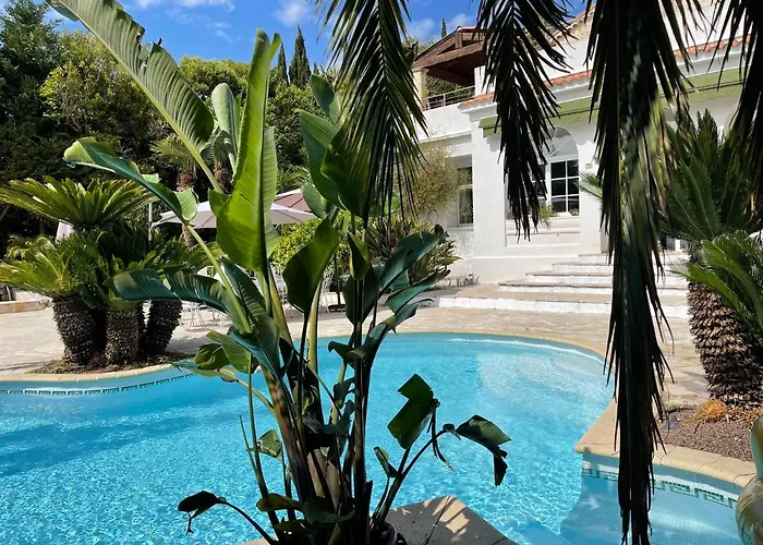 Cannes Villa Piscine Proche Centre Ville