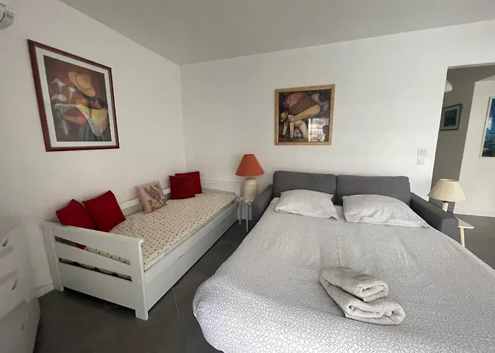 Appartement Alger 3 à Cannes acceptant les animaux