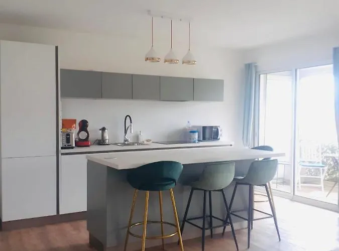 Haustierfreundliches Ferienwohnung A 250M Plage Et Congres Tout A Pied Cannes