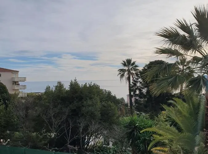 Mon paysage cannois Cannes acceptant les animaux