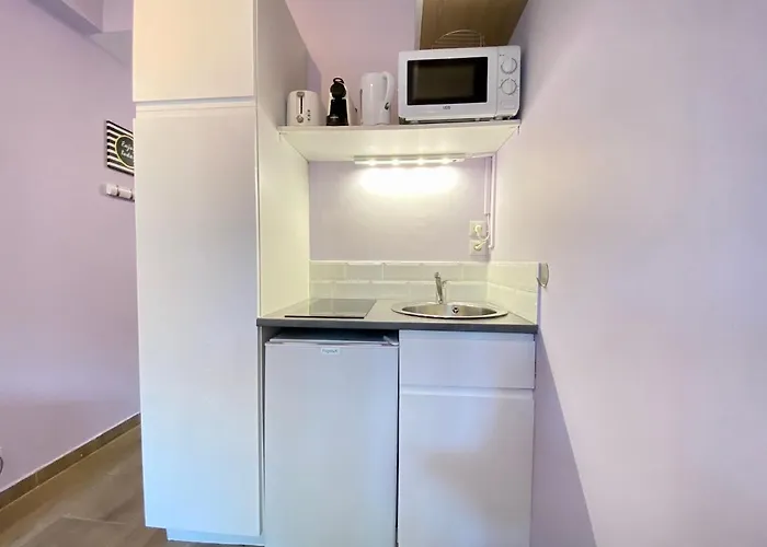 Gallia Bella Scls - Climatisation, Wifi Cannes