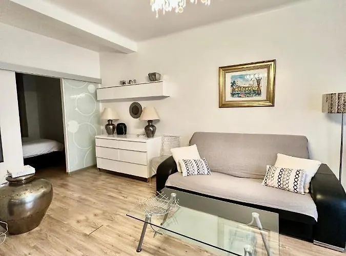 Haustierfreundliches Ferienwohnung Jolie 2 Pieces A Deux Pas Du Palais Des Festivales Cannes
