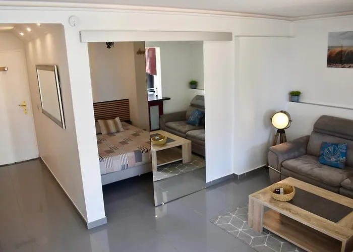 Magnifique Appartement 2 pièces au calme Cannes acceptant les animaux