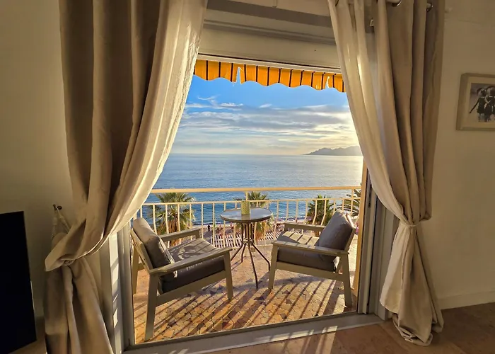 Plage du midi- Vue sur mer Standing Presta Cannes acceptant les animaux
