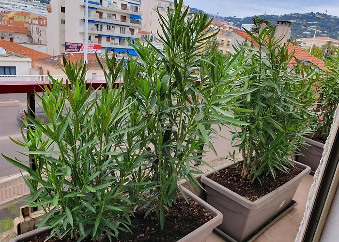 Hotel Brimer Cannes